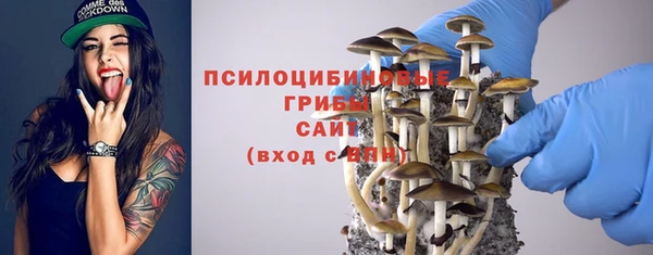 сатива Балахна