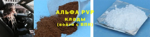 сатива Балахна