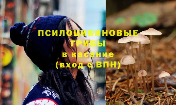 мескалин Баксан