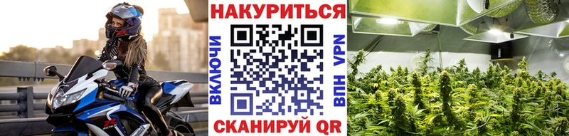 где продают   Томари  Конопля AK-47 